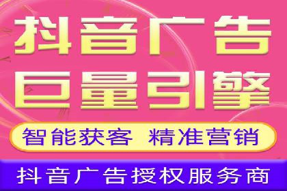SEM外包服务应用案例分析